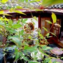 바인 민박 이미지