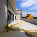 애플스크린골프 이미지