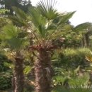 다대농장 이미지