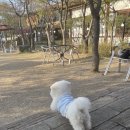 오디가개 이미지