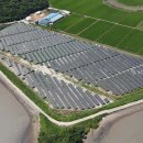 대지 태양광발전소 이미지