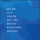 IAEA 종합 보고서의 서문(2페이지)를 통해 본 실체 이미지