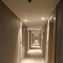 탑다방PC | 밭떼기뷰 1층객실 실망커버한 훌륭한 조식 제주더본호텔