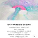 러쉬입욕제 브라더문 썸웨어 애플어데이 후기