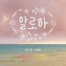 알로하