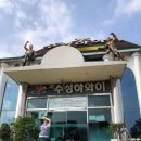 뉴수성하와이