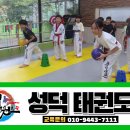 성덕태권도 이미지