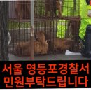 집회 도구로 개를 끌고 다니는 육견협회 좀 막아줘 (개장수들이 집회 끝내고 도로 개들 끌고갔어..또 시위할거래 다음엔 가스통 들고올거래 막아줘) 이미지