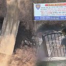대학로떡;호두과자