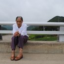 깨구리반찬 이미지