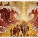 유리바다 이미지