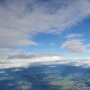 (주)명진전력 | [제주도 / 3박 4일] Day 4_비자림, 평대전복, 오드랑베이커리