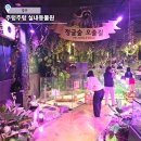 경주숲속생명의원 | 경주 가볼만한 곳 주렁주렁 동물원 실내 아이랑 경주여행코스 이용안내 및 솔직후기