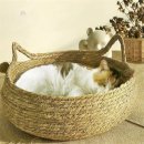 에벤에셀하우스 이미지