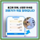 중고폰팔기 전 꼭 봐야 할 곳? 중고폰시세부터 다르다는 21세기전파상 후기