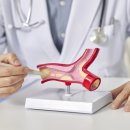 참신통한의원 이미지