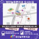 푸른치과기공소 이미지