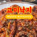 고미낙지 이미지