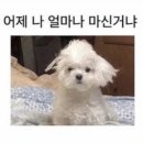 목화휴게소 이미지