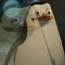 SPRINT(스프린트) 이미지