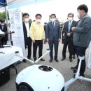 고양화전5 이미지