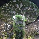 낙동강자전거교실 | 상주 아이랑 가볼만한곳 추천! 수족관+카페 감성 내수면관상어비즈니스센터