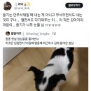 BADUGI 이미지