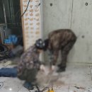 부성언치과의원 이미지