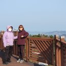 조도 도리산전망대 티스토리