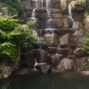 화담 | 🍁 사계절 내내 아름다운 자연! 화담숲 방문 후기 🌿