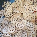 풀리페의 맛있는 반찬 이미지