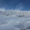 쪽빛하늘 이미지