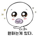 월드킹 홍천점 네이버블로그
