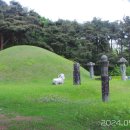 전사벌왕릉 이미지