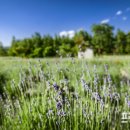 용촌농장 이미지