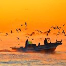 해맑은바다 이미지