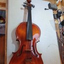 바이올린 이미지