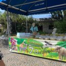 나라한농장 | 파타야 추천 관광지 악어농장, feat. 폭염강화훈련