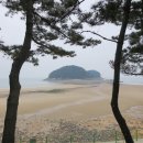 조경나라