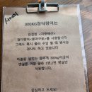 제주도 참치집 300KG참치 인스타 스토리 올렸다가 DM폭발한 후기