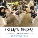 태신목장 | 당진 주말에 아이와갈만한 곳 추천! 아그로랜드 태신목장 후기 🚜