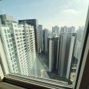 성일공인중개사무소 이미지