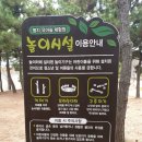 명지근린공원 유아숲체험원 이미지