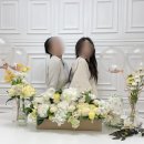 스튜디오하이프