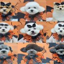 딥잉 산본점 이미지