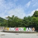 용문산산더덕 | 공기 좋은 경기도 양평 용문산에서 계곡 즐기고 먹방하고 온 힐링 후기