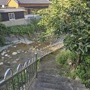 광산개발주식회사 티스토리