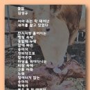 꽃잠 - 김성규 이미지