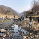 북하면사무소 이미지