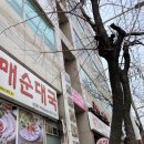 기바라기스킨케어 | [기바라기 스킨케어] 내돈내산/ 고양동 등관리/ 10회 등록하고옴 ㅋㅋㅋ